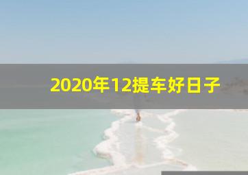 2020年12提车好日子