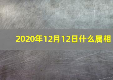 2020年12月12日什么属相