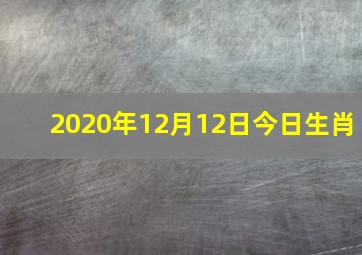 2020年12月12日今日生肖