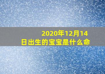 2020年12月14日出生的宝宝是什么命