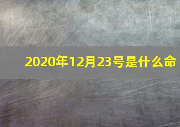 2020年12月23号是什么命