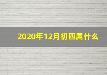 2020年12月初四属什么