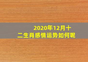 2020年12月十二生肖感情运势如何呢