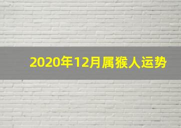 2020年12月属猴人运势