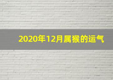 2020年12月属猴的运气