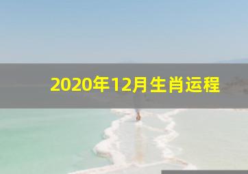 2020年12月生肖运程