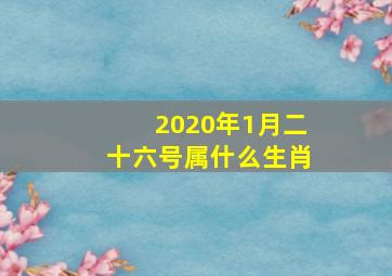 2020年1月二十六号属什么生肖