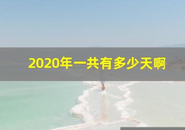 2020年一共有多少天啊