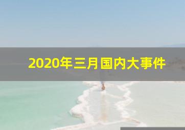 2020年三月国内大事件