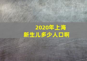 2020年上海新生儿多少人口啊