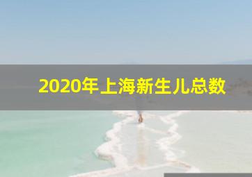 2020年上海新生儿总数