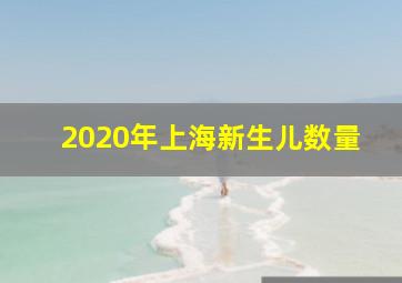 2020年上海新生儿数量