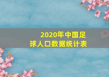 2020年中国足球人口数据统计表