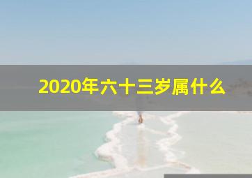 2020年六十三岁属什么