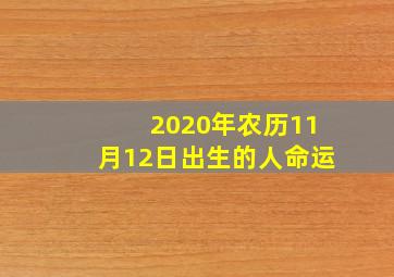 2020年农历11月12日出生的人命运