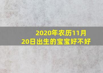 2020年农历11月20日出生的宝宝好不好