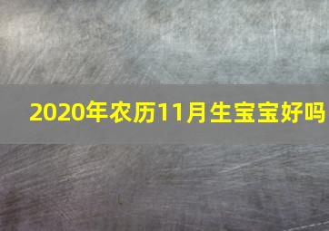 2020年农历11月生宝宝好吗