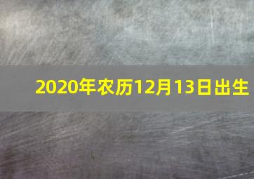 2020年农历12月13日出生