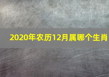 2020年农历12月属哪个生肖