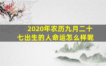 2020年农历九月二十七出生的人命运怎么样呢