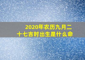 2020年农历九月二十七吉时出生是什么命