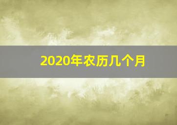 2020年农历几个月