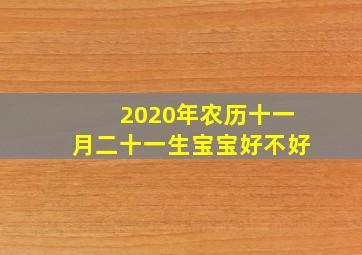 2020年农历十一月二十一生宝宝好不好