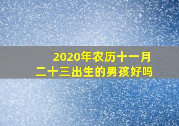 2020年农历十一月二十三出生的男孩好吗