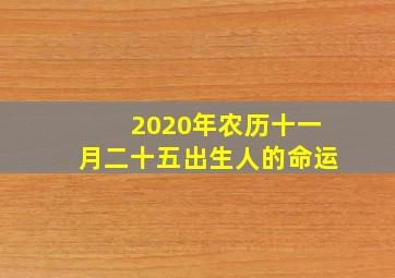 2020年农历十一月二十五出生人的命运