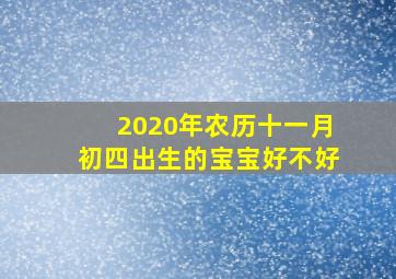 2020年农历十一月初四出生的宝宝好不好