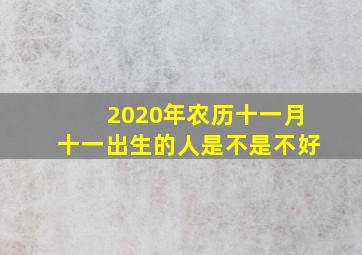 2020年农历十一月十一出生的人是不是不好