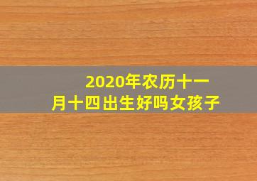 2020年农历十一月十四出生好吗女孩子