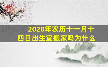 2020年农历十一月十四日出生宜搬家吗为什么