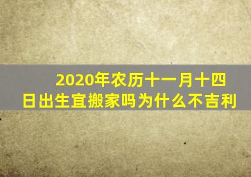 2020年农历十一月十四日出生宜搬家吗为什么不吉利