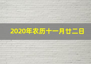 2020年农历十一月廿二日