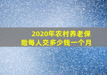 2020年农村养老保险每人交多少钱一个月