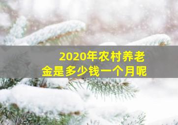 2020年农村养老金是多少钱一个月呢