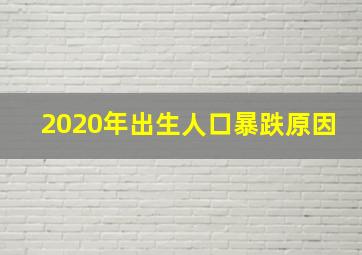 2020年出生人口暴跌原因