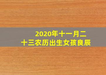 2020年十一月二十三农历出生女孩良辰