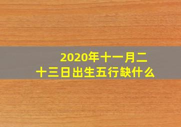 2020年十一月二十三日出生五行缺什么