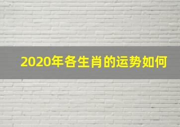 2020年各生肖的运势如何