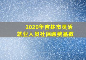 2020年吉林市灵活就业人员社保缴费基数