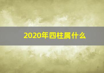 2020年四柱属什么