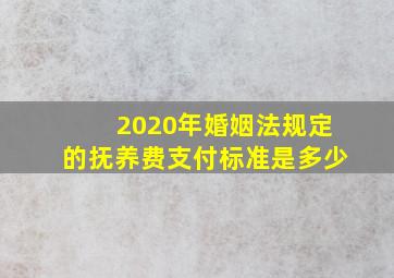 2020年婚姻法规定的抚养费支付标准是多少