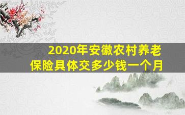 2020年安徽农村养老保险具体交多少钱一个月