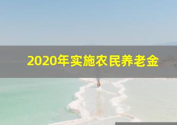 2020年实施农民养老金