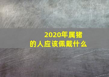 2020年属猪的人应该佩戴什么