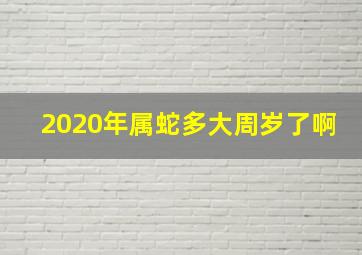 2020年属蛇多大周岁了啊