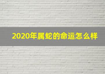 2020年属蛇的命运怎么样