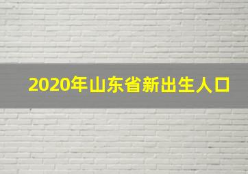 2020年山东省新出生人口